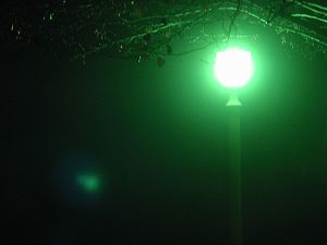 foggy light