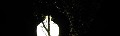 street lamp