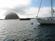 IMG_2742.jpg