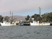 IMG_2743.jpg