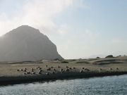 IMG_2756.jpg