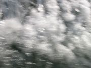 IMG_2760.jpg