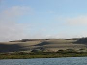 IMG_2761.jpg