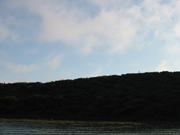 IMG_2765.JPG