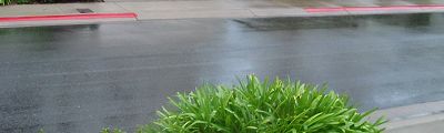 in the front yard watching the rain pour down