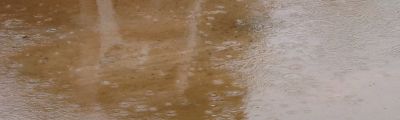 rain on the ground