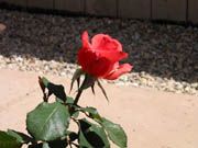 Img_0581.jpg