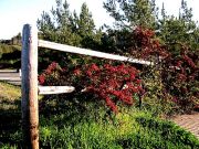 Img_1477.jpg