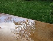 Img_1576.jpg