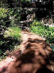 Img_4679.jpg