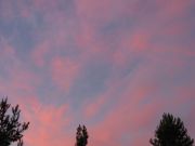 Img_5330.jpg
