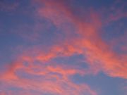 Img_5333.jpg