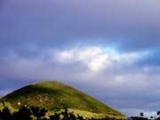 Img_7279.jpg