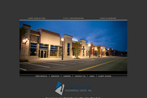 Associated Engineering Group